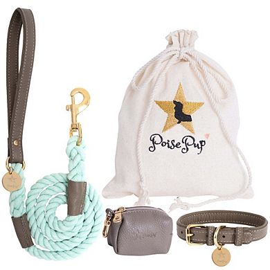 Pet Dog Leather Collar