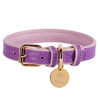 Pet Dog Leather Collar