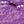 Lavish Lavender