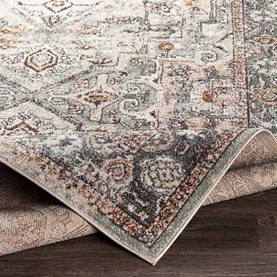 Heiloo Traditional Area Rug