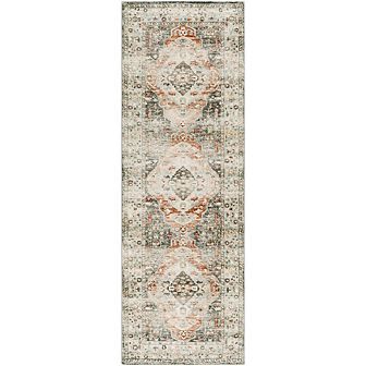 Heeze Traditional Area Rug