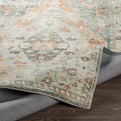 Heeze Traditional Area Rug