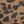 Brown Leopard Suede