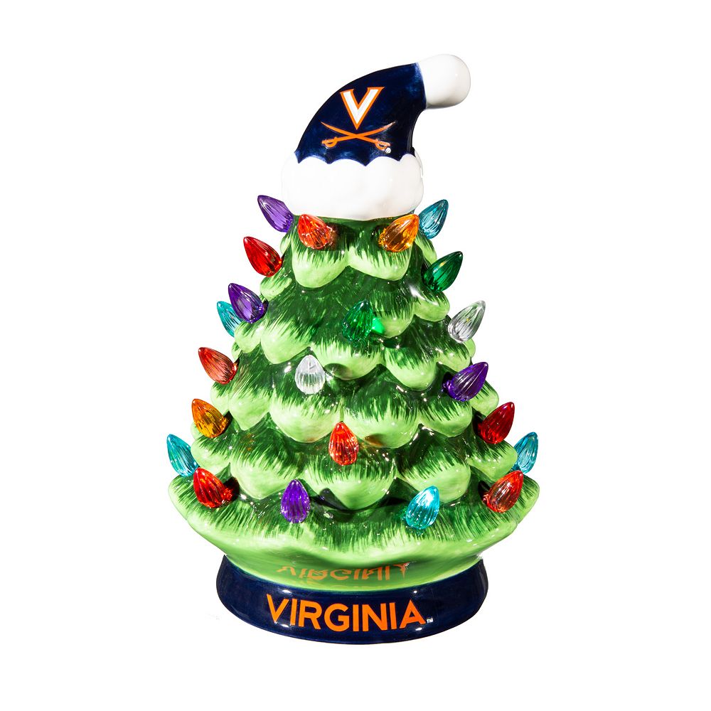 Evergreen Enterprises University of Virginia 8