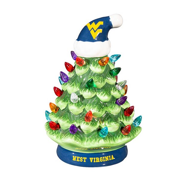 Evergreen Enterprises West Virginia University 8
