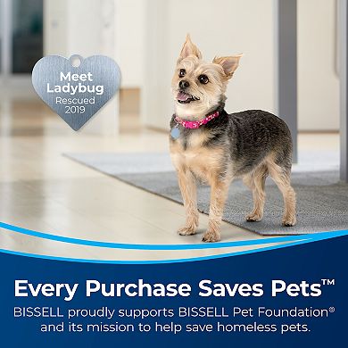 BISSELL Pet Stain Eraser Duo (3706) (3706)