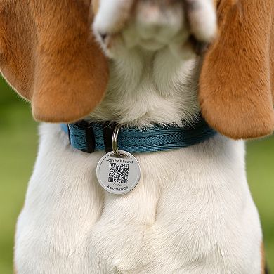 Ring QR Code Pet Tag