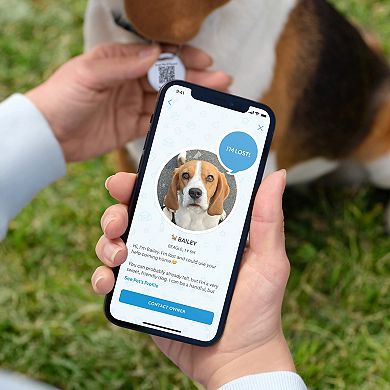 Ring QR Code Pet Tag