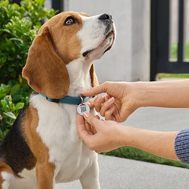 Ring QR Code Pet Tag