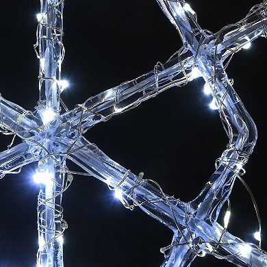 National Tree Company 20" & 24" Ice Crystal Snowflake