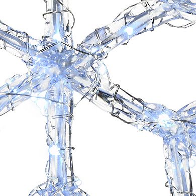 National Tree Company 20" & 24" LED Ice Crystal Snowflake Outdoor Decor