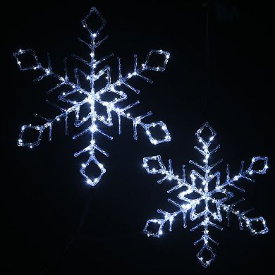 National Tree Company 20" & 24" LED Ice Crystal Snowflake Outdoor Decor