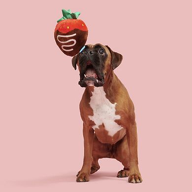 BARK Chocolate Slobber Strawberry Pet Toy