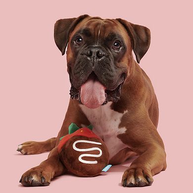 BARK Chocolate Slobber Strawberry Pet Toy