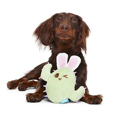 BARK Consuela The Hoppy Cactus Pet Toy