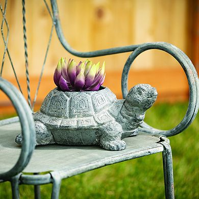 Sullivan's Indoor/Outdoor Turtle Planter