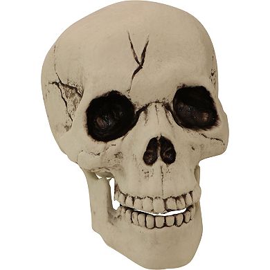 Ground Breaking Skeleton Garden Stakes Outdoor Halloween Lawn Decor