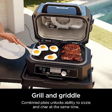 Ninja Woodfire™ Grill & Griddle Plate