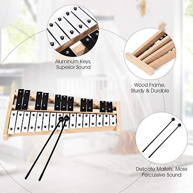 27 Note Glockenspiel Xylophone with 2 Rubber Mallets