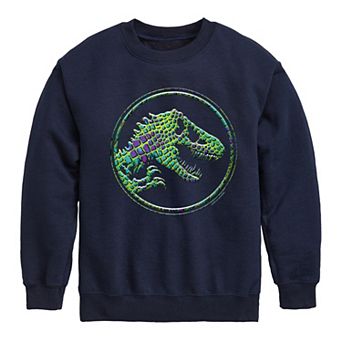 Boys 8-20 Jurassic World Logo Fleece Sweatshirt