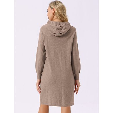 Womens' Casual Pullover Sweatshirt Long Sleeve Hoodie Dress With Pockets