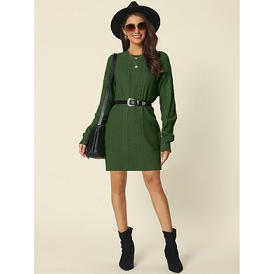 Womens' Textured Long Sleeve Above Knee Casual Sweater Dress
