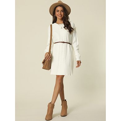 Womens' Textured Long Sleeve Above Knee Casual Sweater Dress