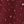 Burgundy Star
