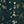Dark Green Floral