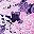 Purple Paisley