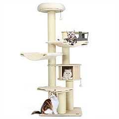 Kohls cat clearance tree