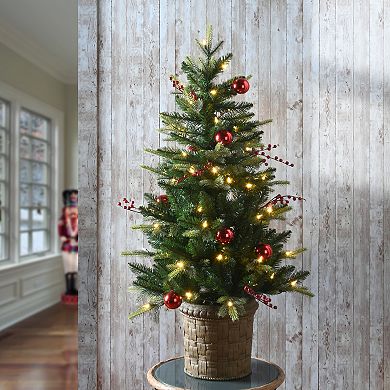 National Tree Company 4-ft. Pre-Lit Feel Real Scotch Creek Fir Artificial Entrance Tree