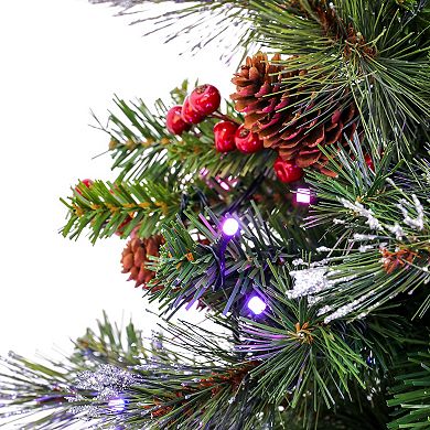 National Tree Company 4-ft. Pre-lit Crestwood Spruce Berry & Pinecones Artificial Christmas Entrance Tree