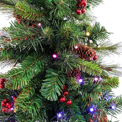 National Tree Company 4-ft. Pre-lit Crestwood Spruce Berry & Pinecones Artificial Christmas Entrance Tree