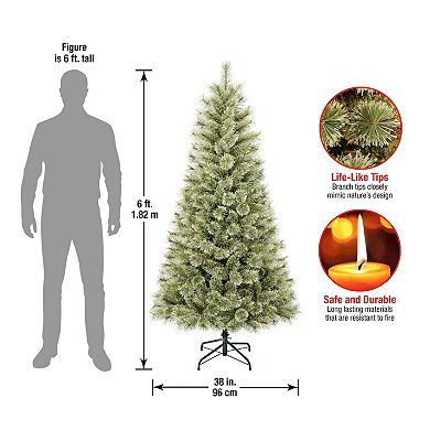 National Tree Company 6-ft. Arcadia Pine Cashmere Hinged Artificial ...