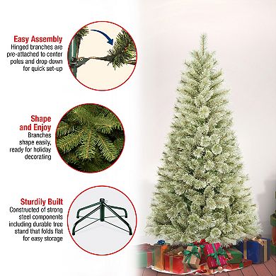 National Tree Company 6-ft. Arcadia Pine Cashmere Hinged Artificial Christmas Tree