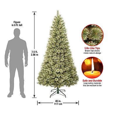 National Tree Company 7.5-ft. Arcadia Pine Cashmere Hinged Artificial Christmas Tree