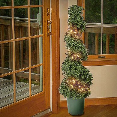 National Tree Company 44-in. Pre-Lit Boxwood Spiral Topiary