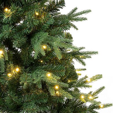 National Tree Company 6-ft. Pre-Lit Feel-Real Duxbury Light Green Mixed Hinged Artificial Christmas Tree