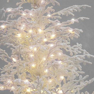 National Tree Company HGTV-4-ft. Christmas by the Sea Coral Pre-Lit Artificial Christmas Tree