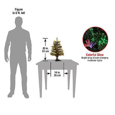 National Tree Company 2-ft. Fiber Optic Ice Crestwood Small Artificial Tree with Silver Bristles, Cones, Red Berries & Glitter