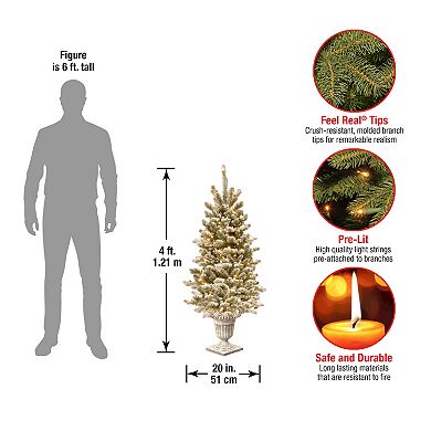 National Tree Company 4-ft. Pre-Lit Feel Real Snowy Sheffield Spruce Artificial Entrance Tree