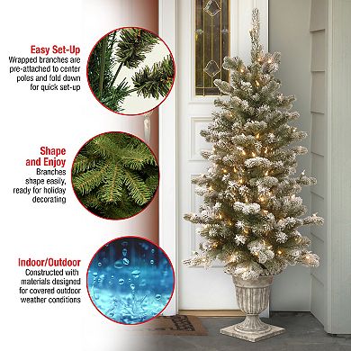 National Tree Company 4-ft. Pre-Lit Feel Real Snowy Sheffield Spruce Artificial Entrance Tree