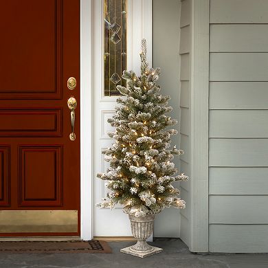 National Tree Company 4-ft. Pre-Lit Feel Real Snowy Sheffield Spruce Artificial Entrance Tree