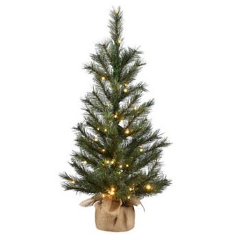 National Tree Company 3-ft. Pre-Lit Frosted Ontario Pine Artificial Christmas Tree
