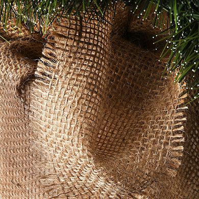 National Tree Company 3-ft. Pre-Lit Frosted Ontario Pine Artificial Christmas Tree