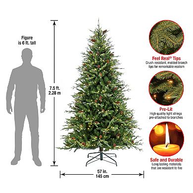 National Tree Company 7 1/2-ft. Pre-Lit Skykomish Pine Hinged Artificial Christmas Tree