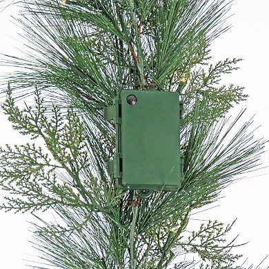 National Tree Company HGTV Pre-Lit Black Tie Christmas Needles & Cedar Garland