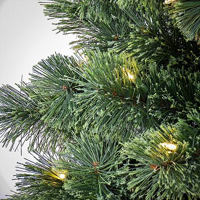 National Tree Company 7 1/2-ft. Pre-Lit Pilchuck Pine Hinged Artificial Christmas Tree