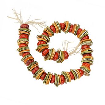 National Tree Company 4-ft. Dried Citrus & Tomato Artificial Garland
